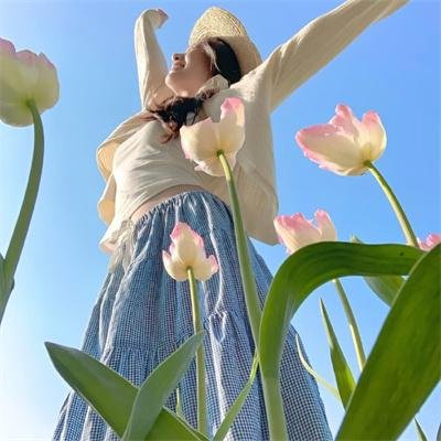 虫虫的异想生活