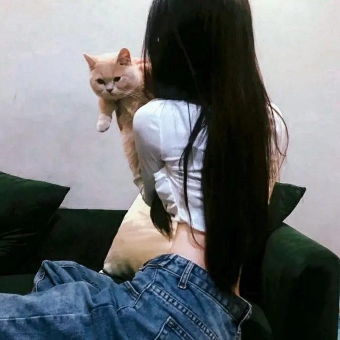 鲨海47:猛鲨出笼